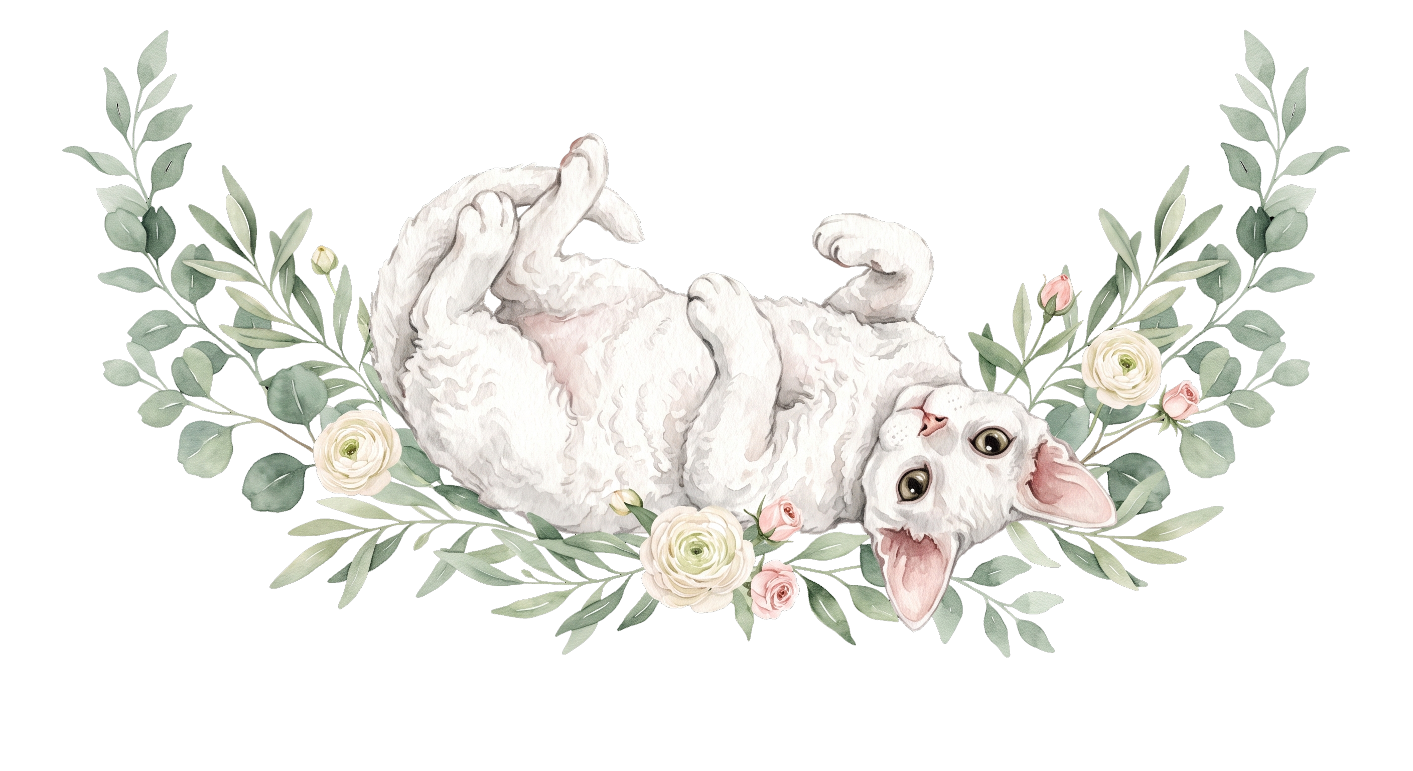 翻肚皮的猫咪